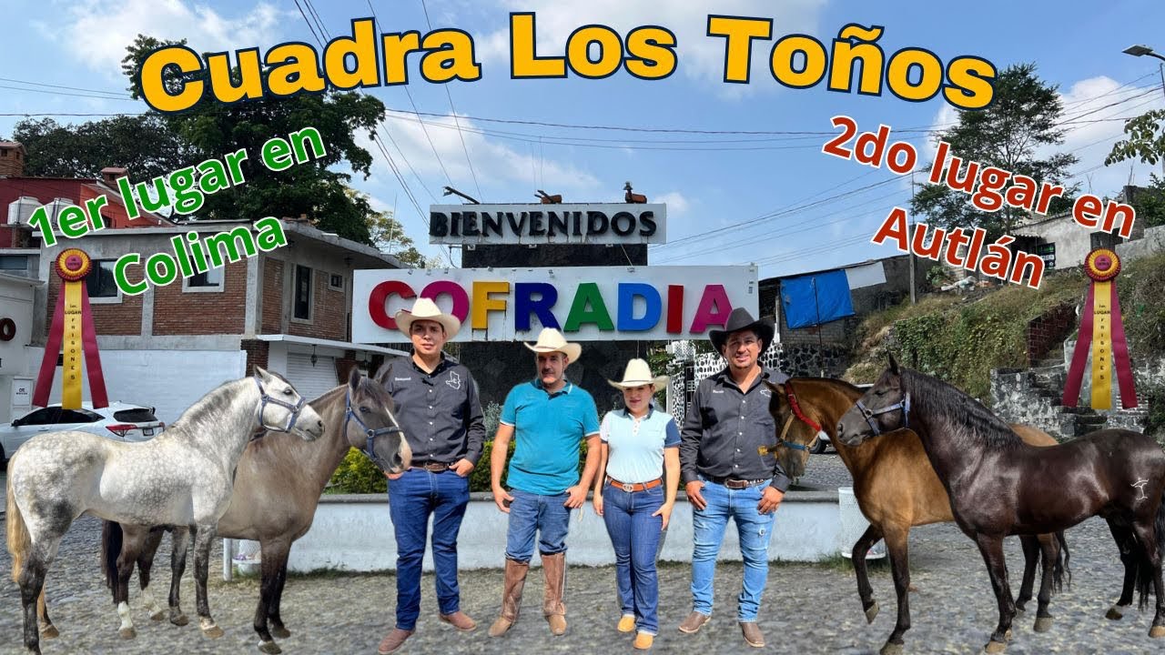 CONOCE A CUADRA LOS TOÑOS Y SUS CABALLOS DE BAILE DESDE COFRADIA DE SUCHITLAN COLIMA