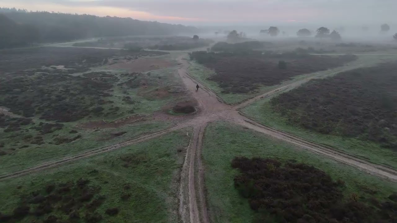 Belanda foggy Siera