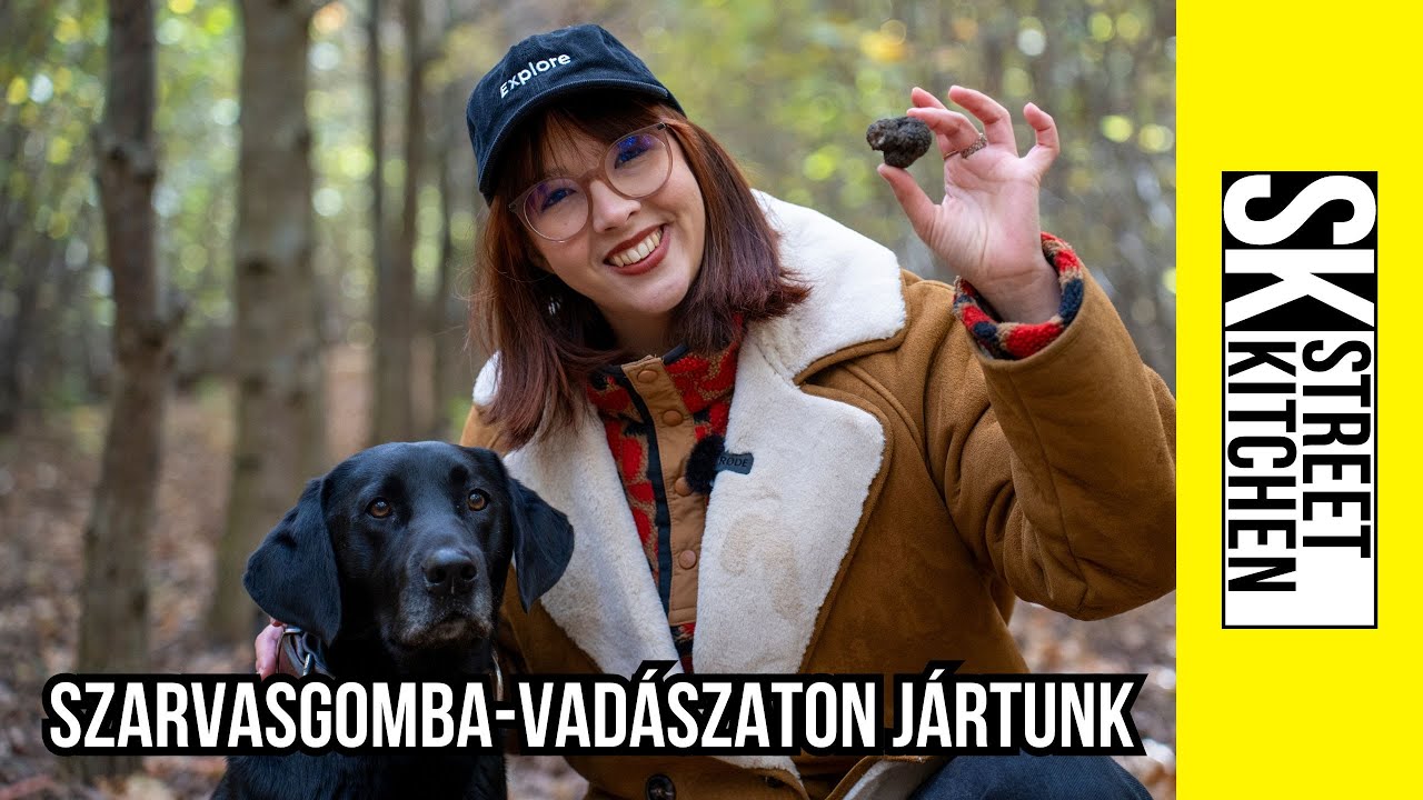 Kincs az erdő mélyén?🌳 SZARVASGOMBA-vadászaton jártunk🤠🐶