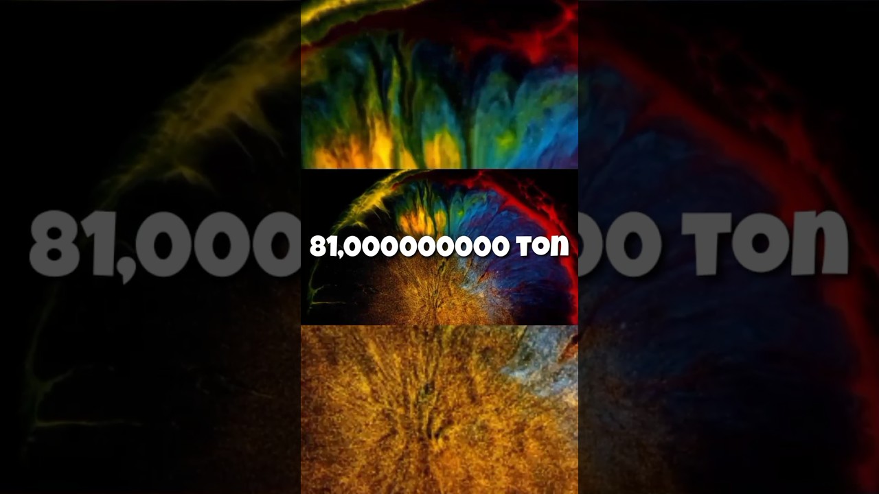 Top 3 amazing fact  #shorts #youtubeshorts