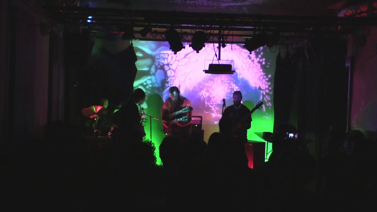 Tentacle Wizard - Live at Dark Fest 2019 (LIVE VIDEO)