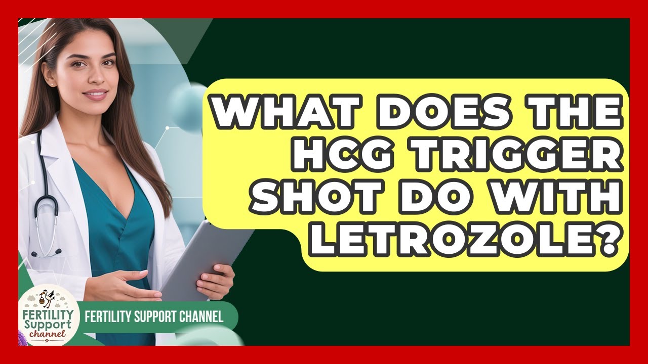What Does The hCG Trigger Shot Do With Letrozole? - Fertility Support Channel