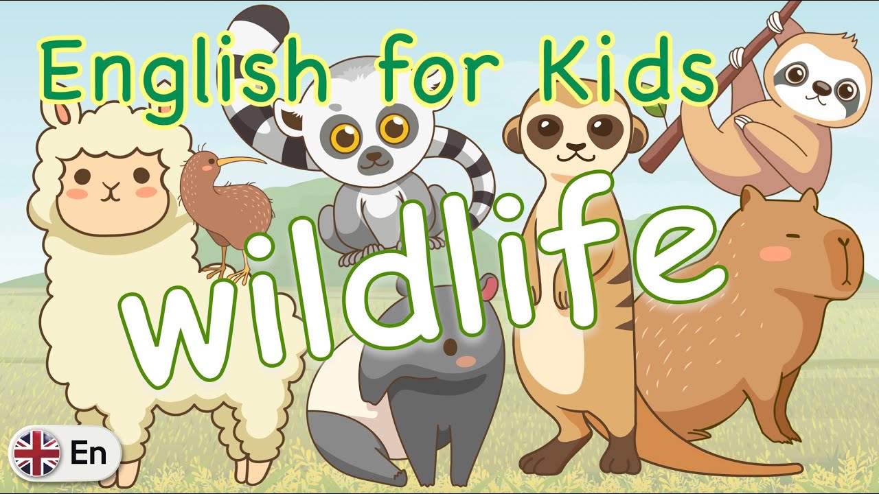 Wildlife A to Z | English for Kids (UK)