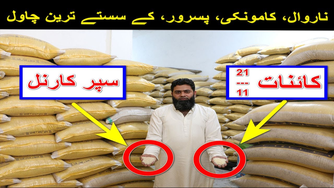 Basmati Kainat Rice | Super Kernel Rice | Business Idea Rice | Rice Prices in Pakistan