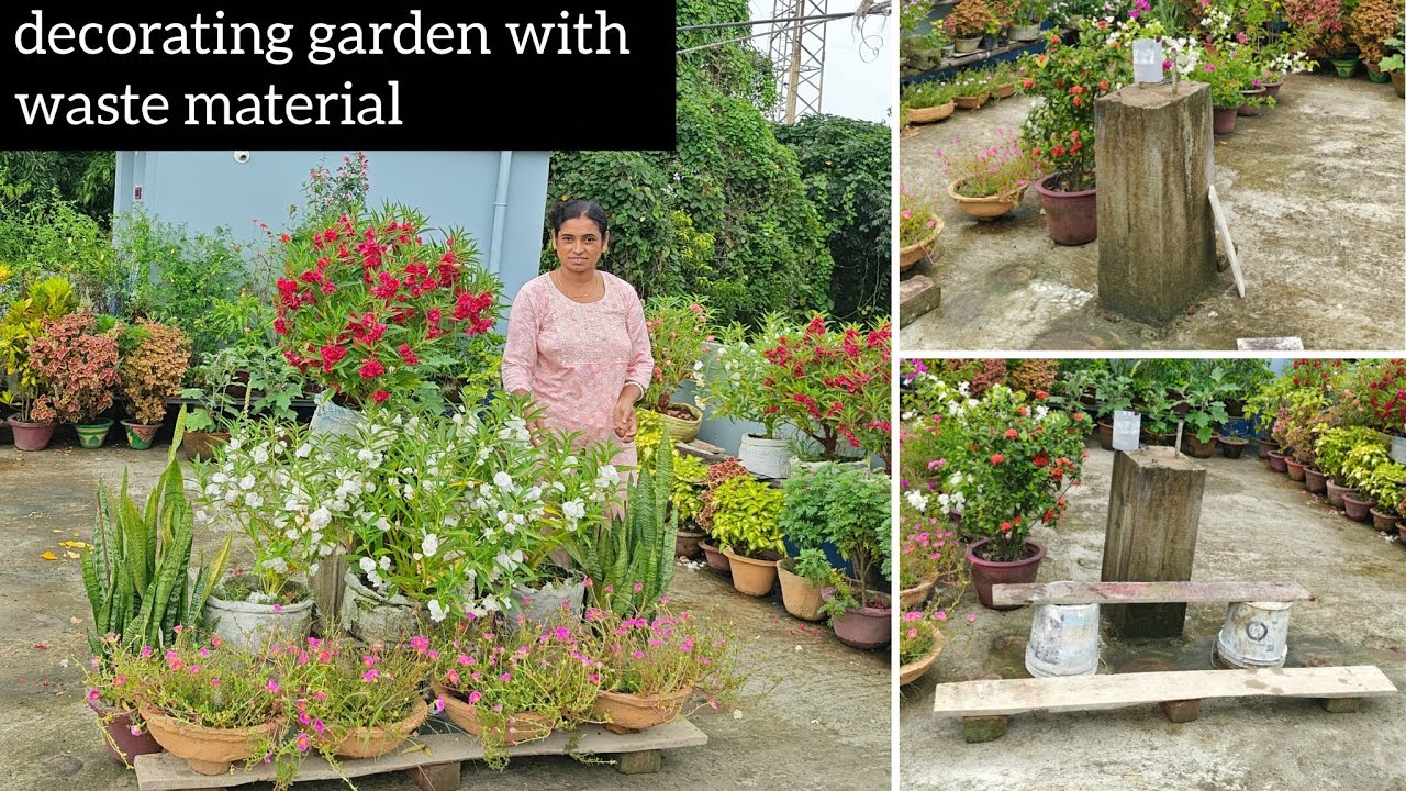 decorating garden with waste material | #diy gardening | how to decorate terrace Garden | #gardening