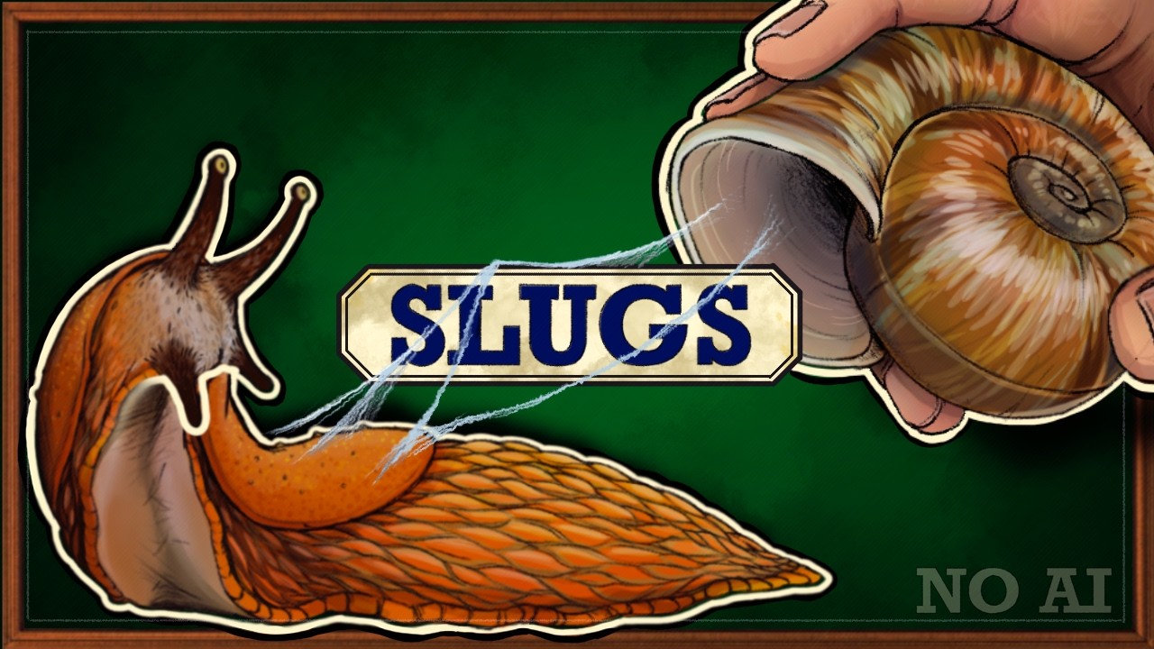 Why are Slugs? Broadly speaking.