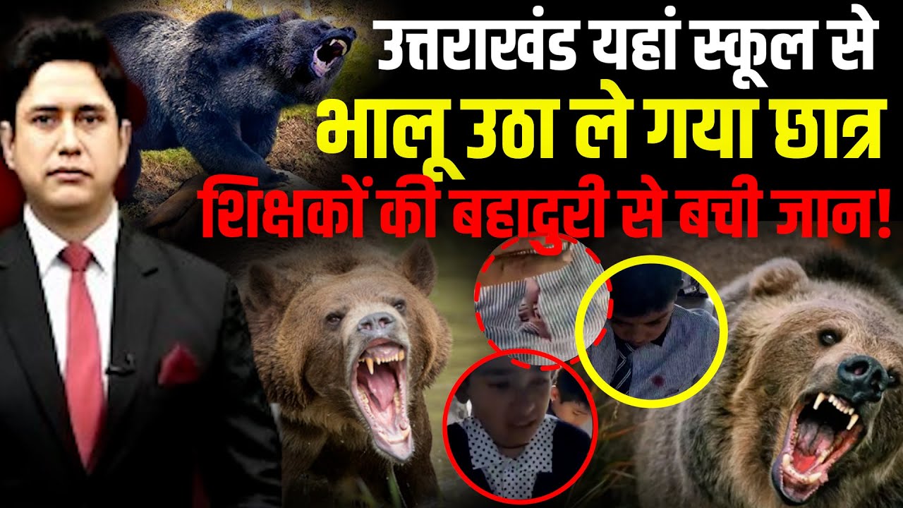 जब भालू ने स्कूल पर बोला धावा... | Chamoli |  Uttarakhand News| Bear Attack