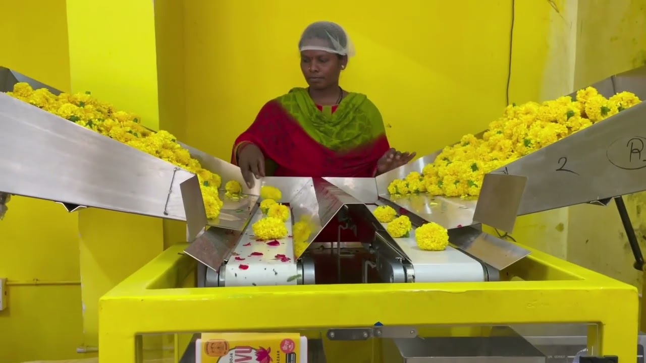 New Machine at Hoovu Warehouse 🌸🌼 | Hoovu Fresh | Traditional Flowers |