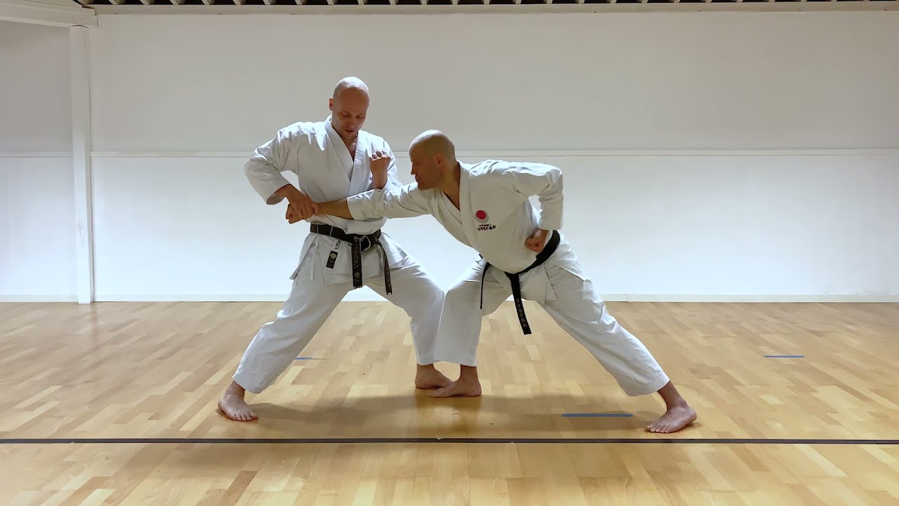 Kihon ippon kumite til 6. kyu