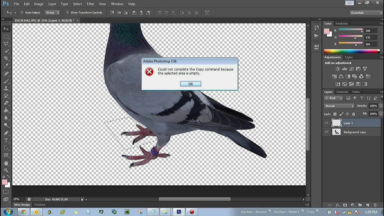 Tutorial video - how to make profesional photos to your pigeons