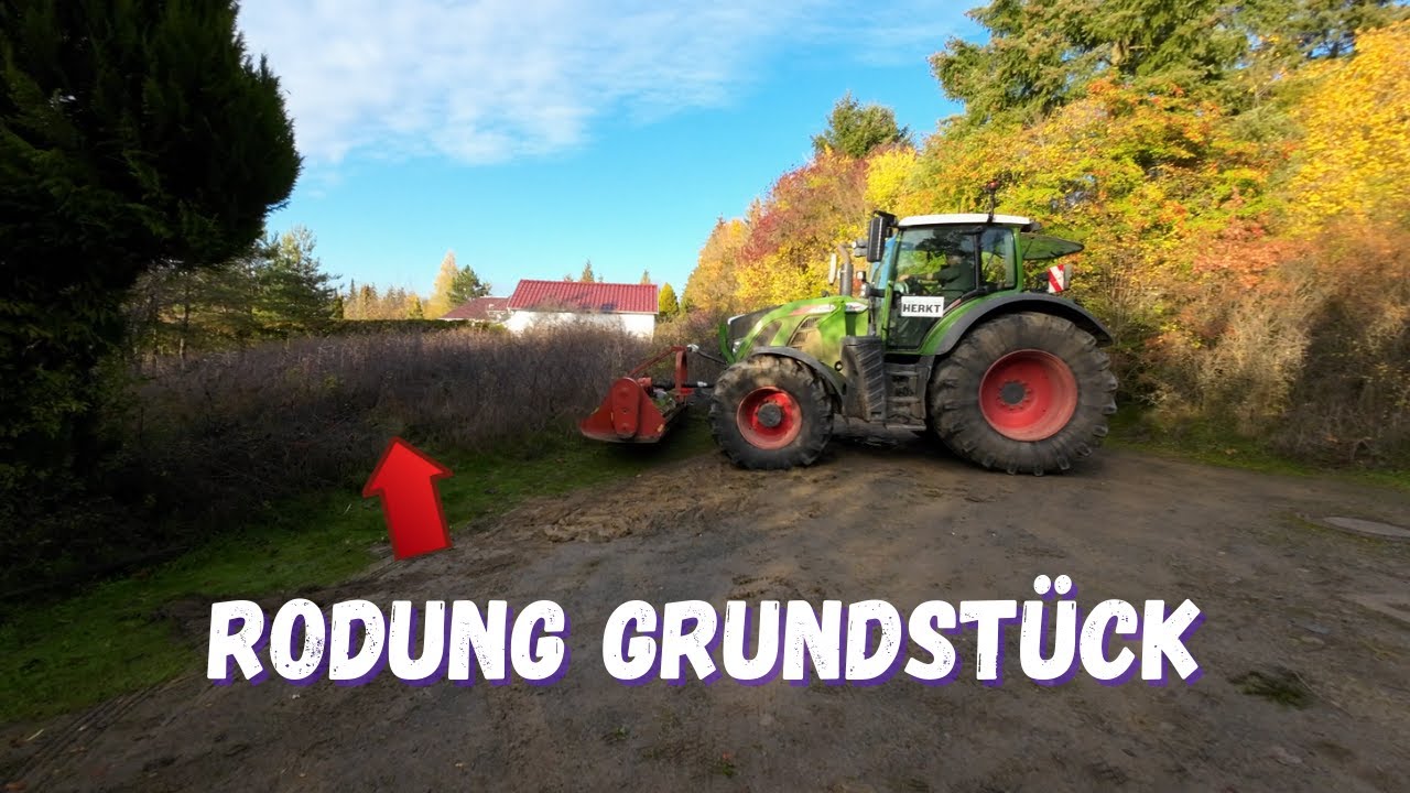 Unser Bauplatz wird gerodet ✅ Alle Sträucher müssen weg!