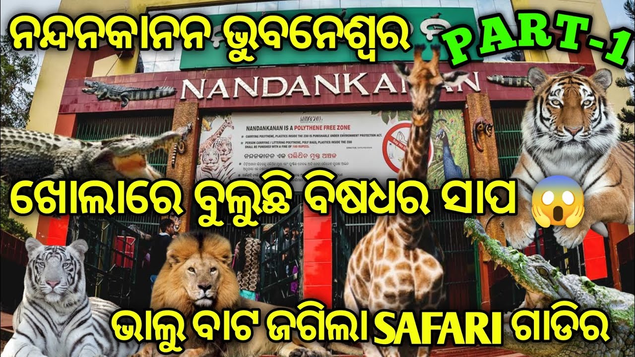 The 2nd Largest Zoo of India ( Part-1 ) // Nandankanan Zoological park Bhubaneswar //  white Tiger 