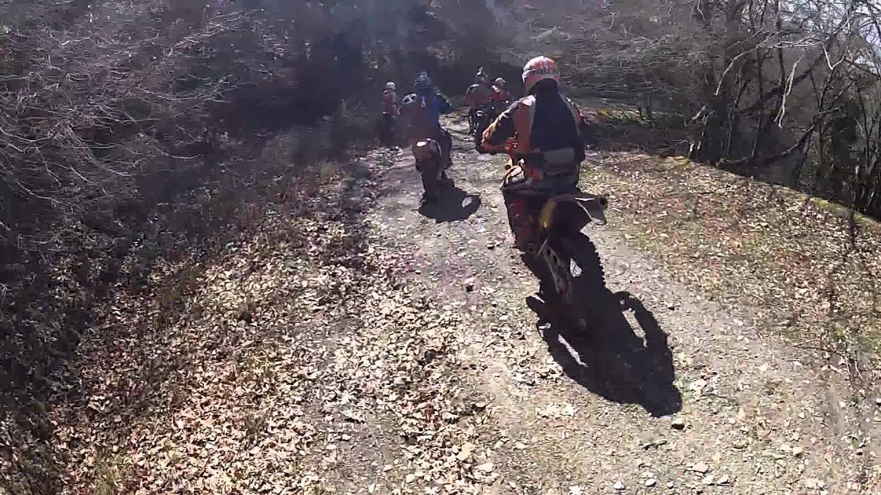 Training day