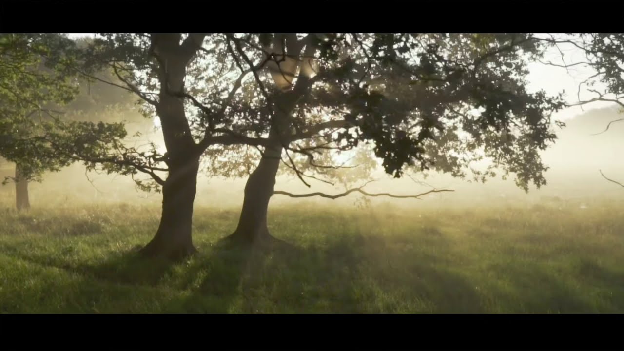 Dji Mavic mini 2|| Beautiful Nature|| Cinematic footage|| 4K #djimavic #cinematicfootage #4Kvideo
