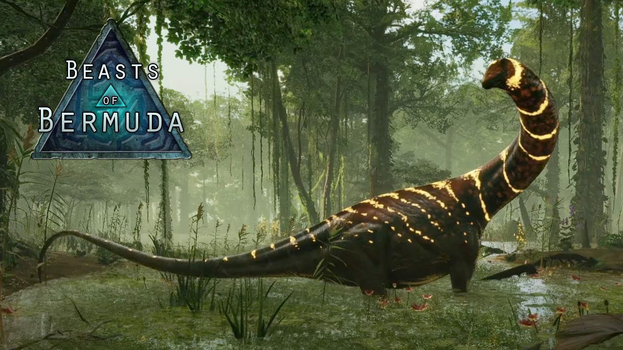 Beasts of Bermuda - A Return