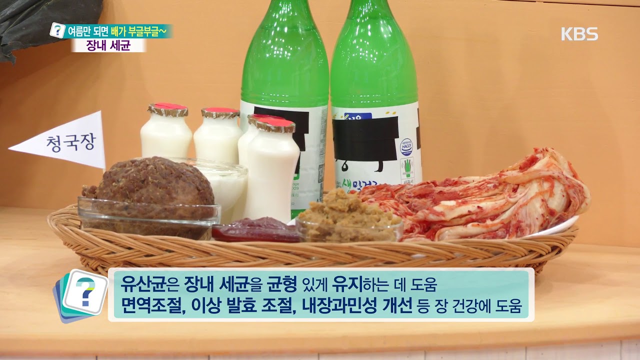 무엇이든 물어보세요 - 살아있는 장 지킴이 ‘유산균’을 챙겨 먹어라! 20180716