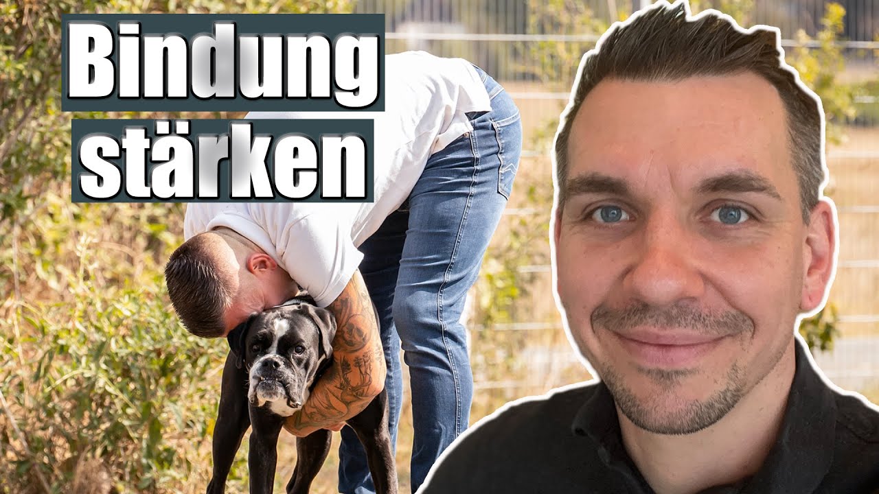 Wie du die Beziehung zu deinem Hund vertiefst