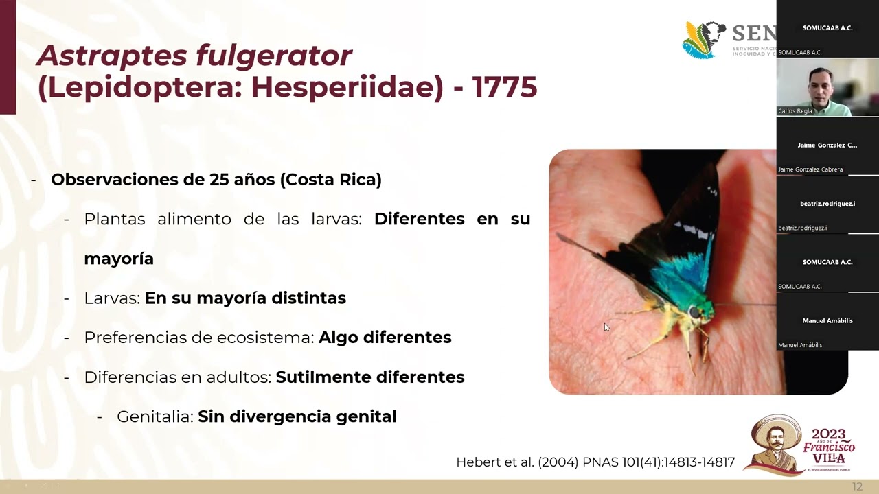 DIA 1 CPCB 2023 3 Identificacion molecular de hongos entomofagos Dr  Carlos Fernando Regla