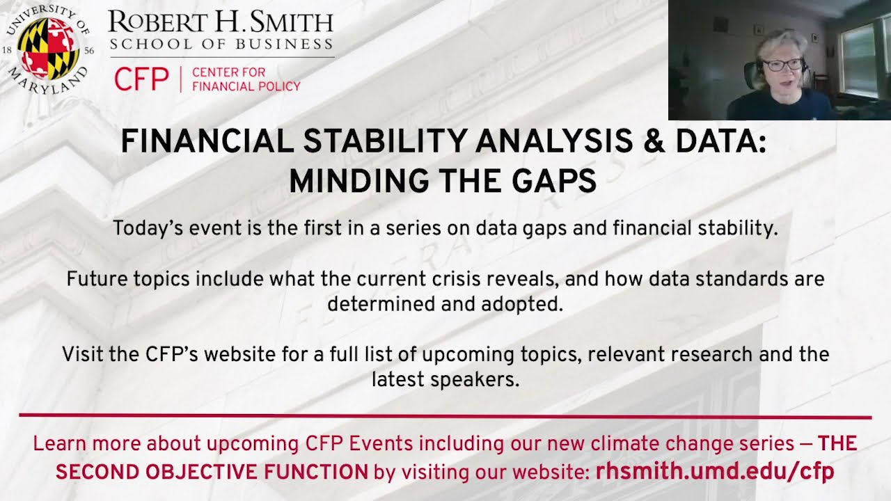 Financial Stability Analysis and Data: Minding The Gaps
