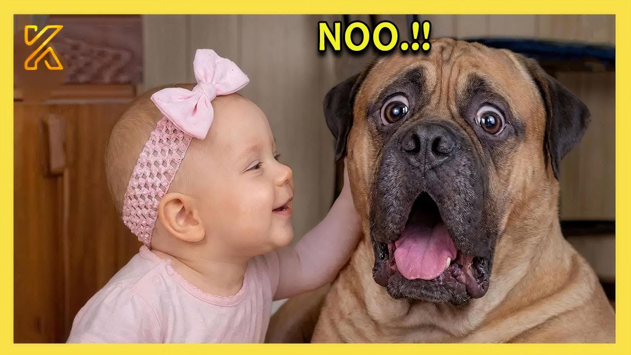 🐶👶When Your Adorable Dog And Your Baby Have A Secret Conversation 💕