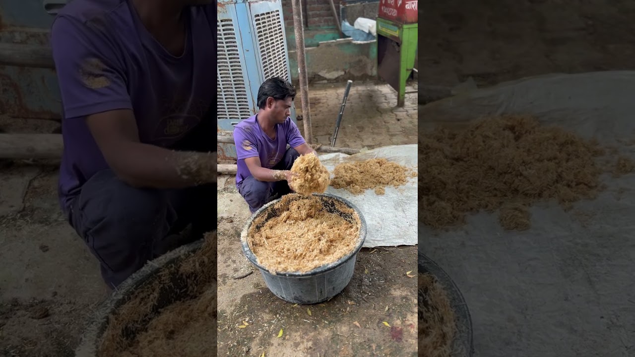 Horse diet plan 🧑&zwj;🌾 #horse #gori #horselover #power #villagelife #farming #haryanvi #viralvideo