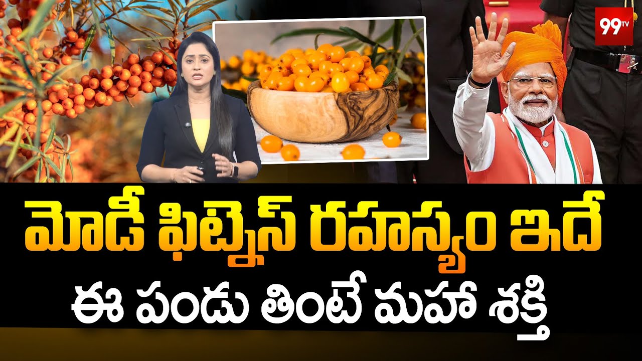మోడీ ఫిట్నెస్ రహస్యం ఇదే | PM Modi's speech on Sea Buckthorn Fruit | Modi Health Secret | 99Tv