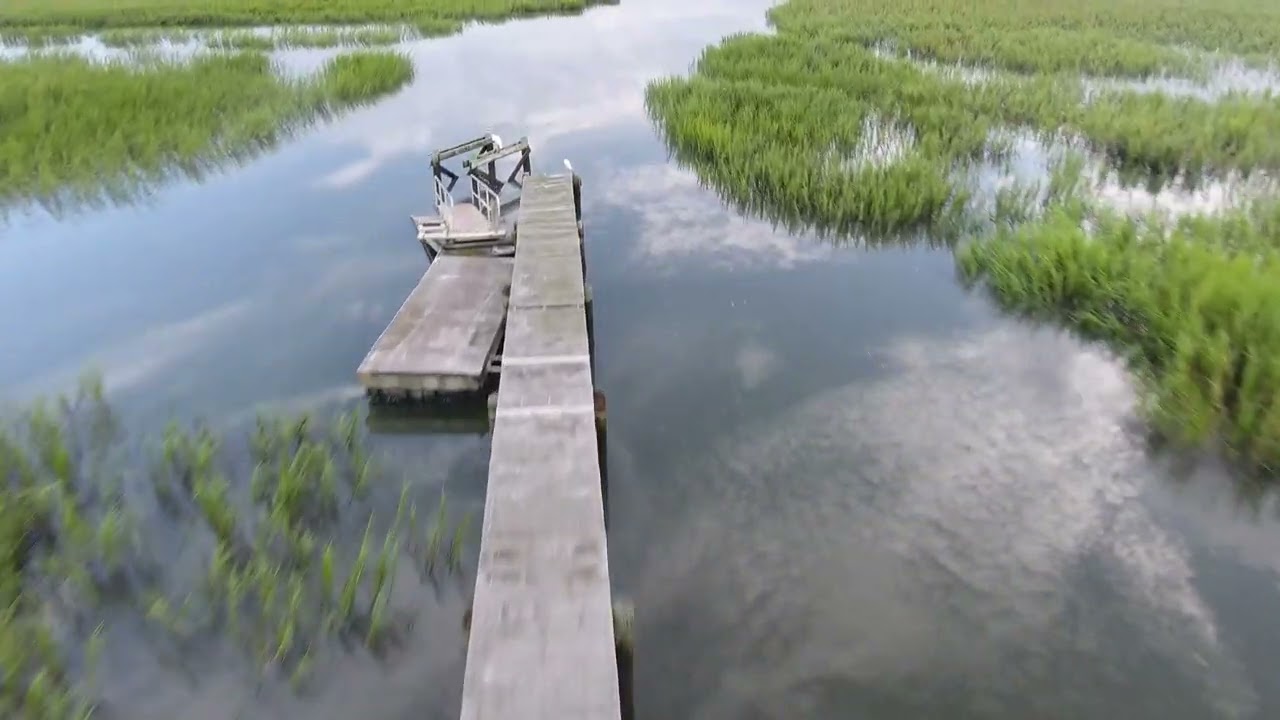 Chasing a Heron | 4K Drone Footage of the Isle of Palms South Carolina