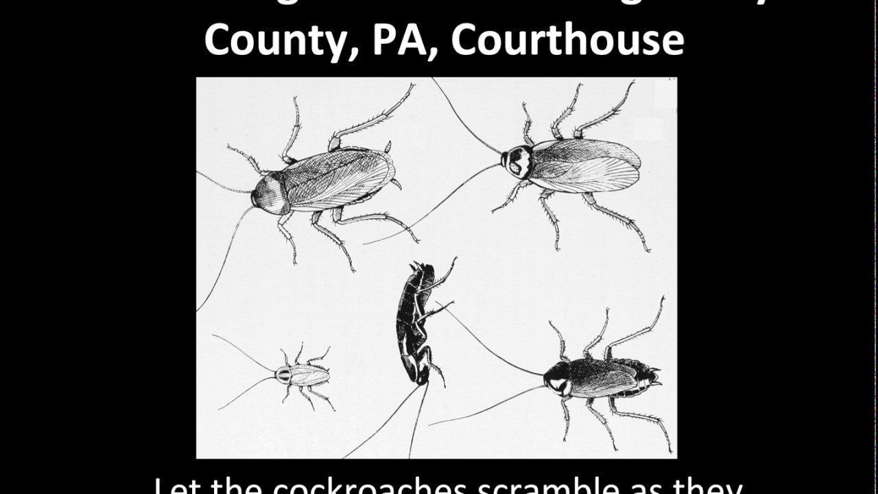 Fraud in Montgomery County, PA, Aging and Adult Services