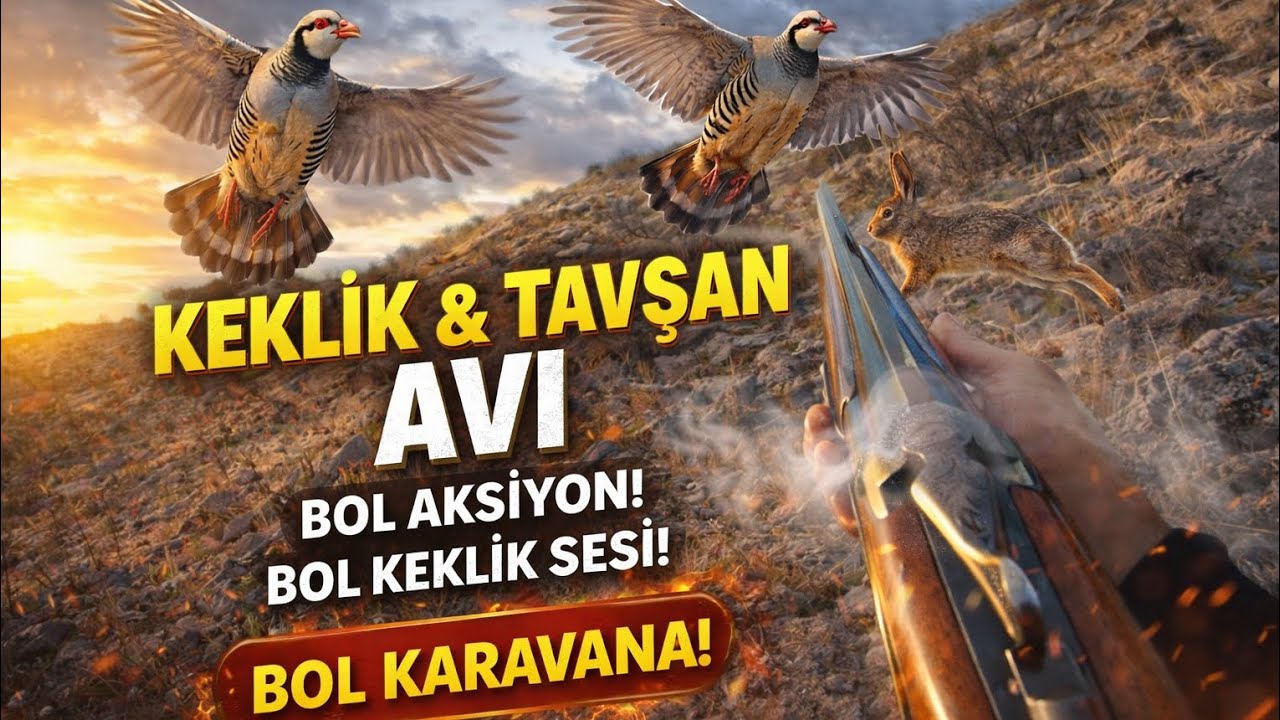 UÇAN KEKLİK & KAÇAN TAVŞAN 🐇 | BOL AKSİYON • BOL KEKLİK SESİ • BOL KARAVANA! PARTRIDGE HUNT. AVCILIK