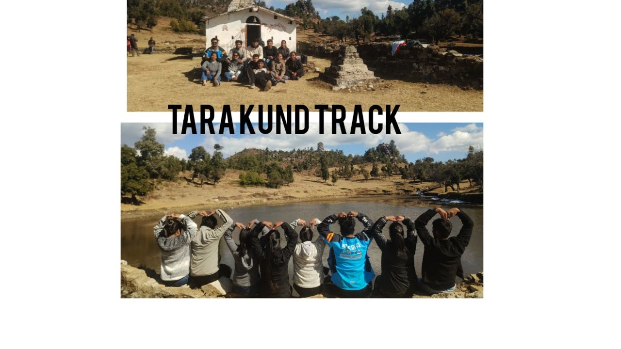 Tarakund track❤#pahadifolkmusic #viealvideo #devbhumi #travel #vivews