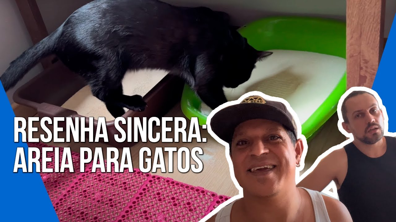COMO VOCÊ LIDA COM A AREIA DO GATO? | Nossa experiência nesses anos como gateiros