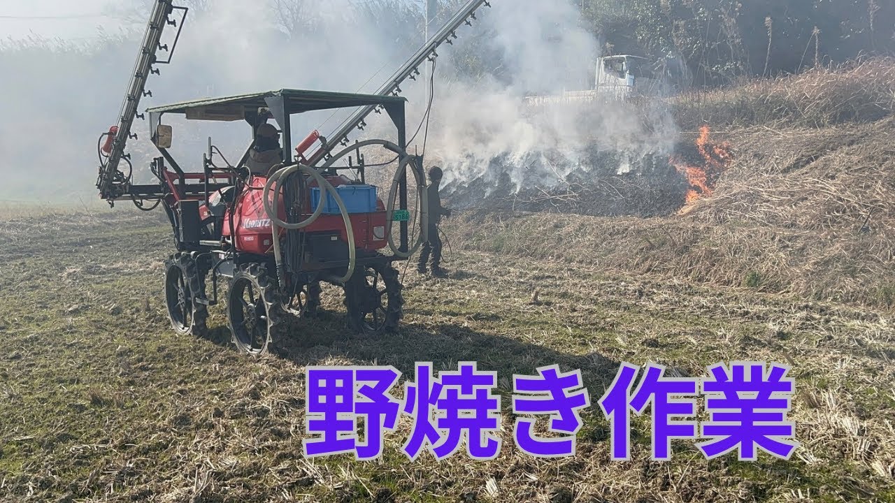 【野焼き作業】田んぼの高土手の野焼き作業をしました、ものすごく綺麗になりました