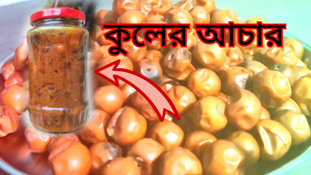 Vlog37 Preparation of Jujubi mix jam খুব সহজেই বানিয়ে ফেলুন টক ঝাল মিষ্টি এই কুলের আচার