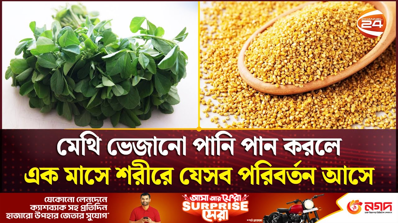 মেথি ভেজানো পানি পান করলে এক মাসে শরীরে যেসব পরিবর্তন আসে | Methi | Channel 24