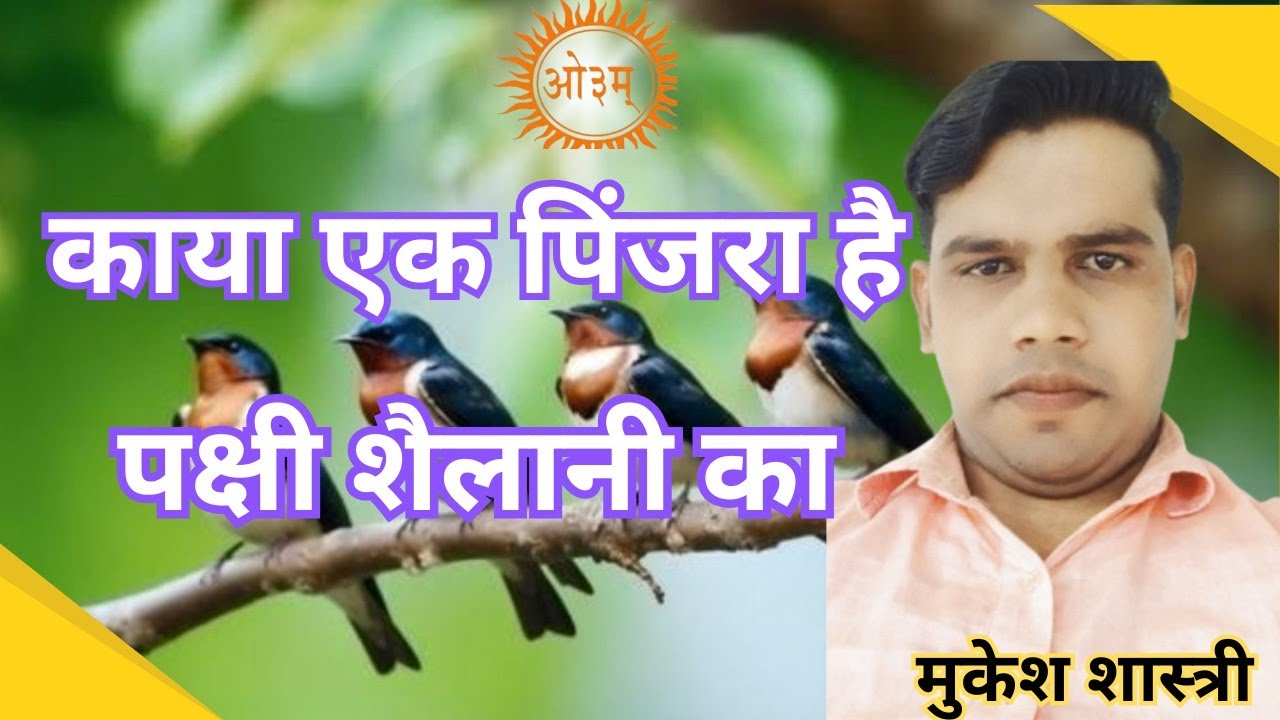 काया एक पिंजड़ा है / पंक्षी शैलानी का / Arya samaj ke bhajan ।।