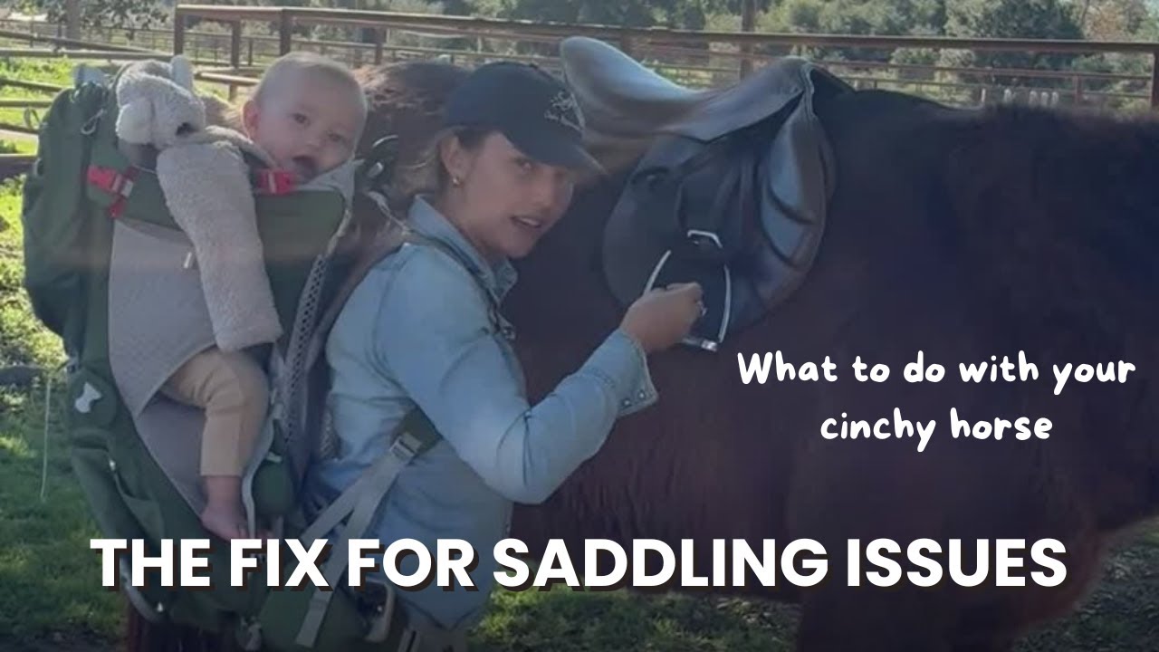 How I fix a cinchy horse