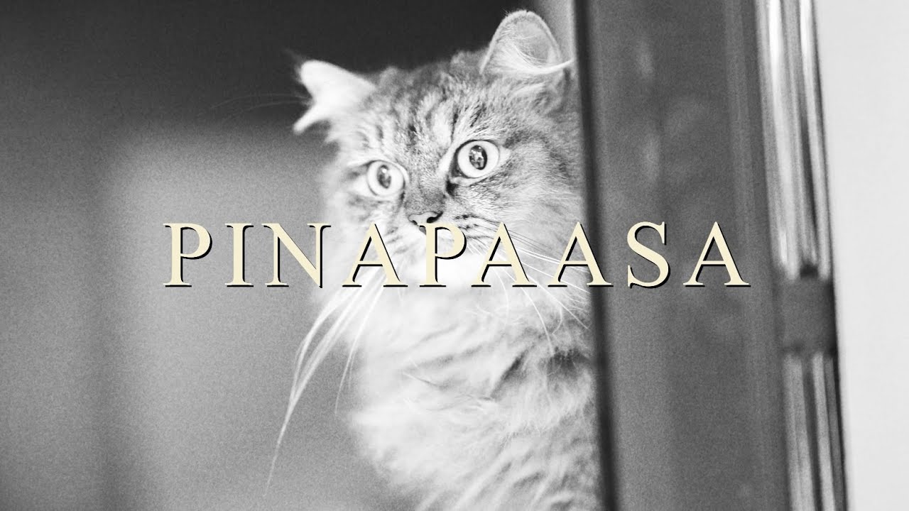 Soapdish - Pinapaasa (официальное музыкальное видео)