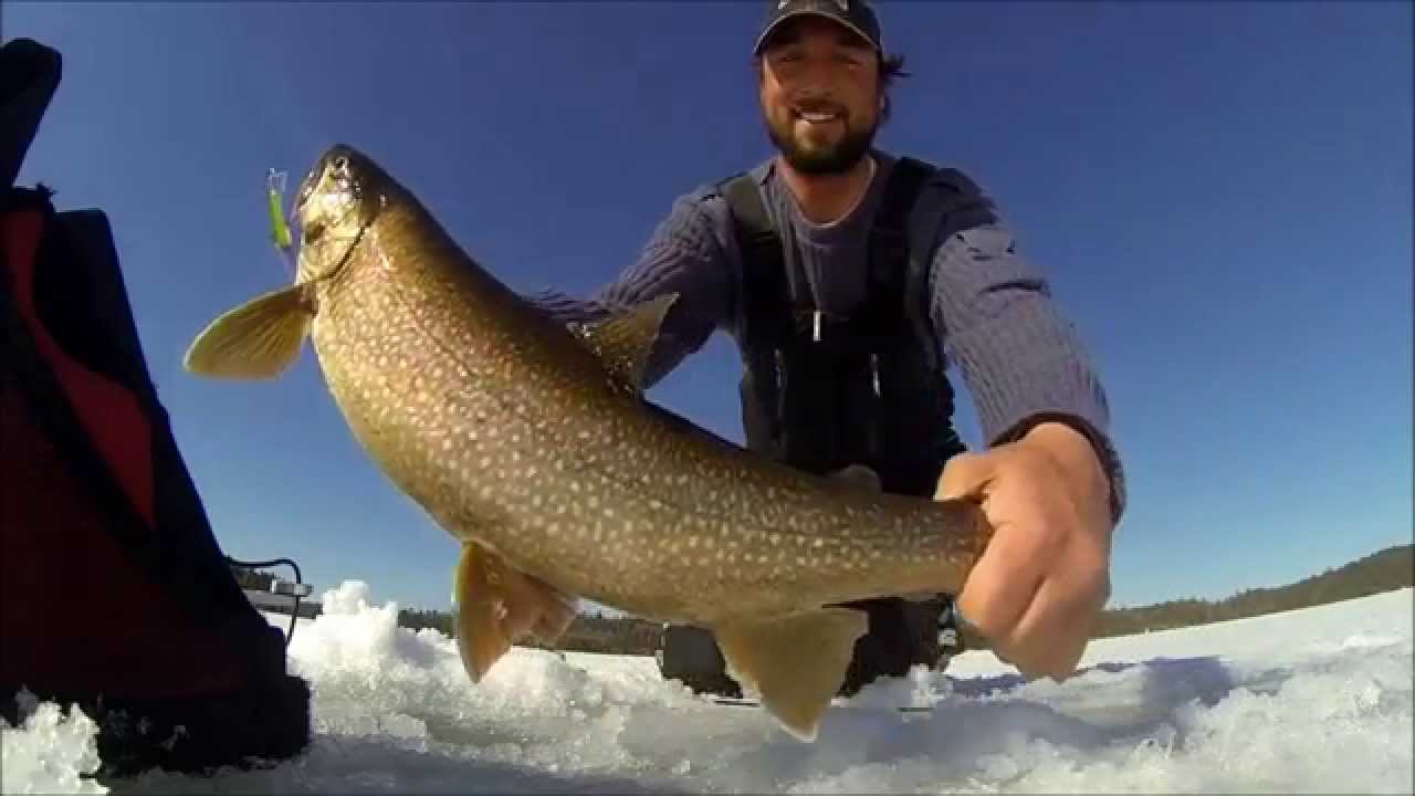 Ely Ice Guides Lake Trout Ice Fishing