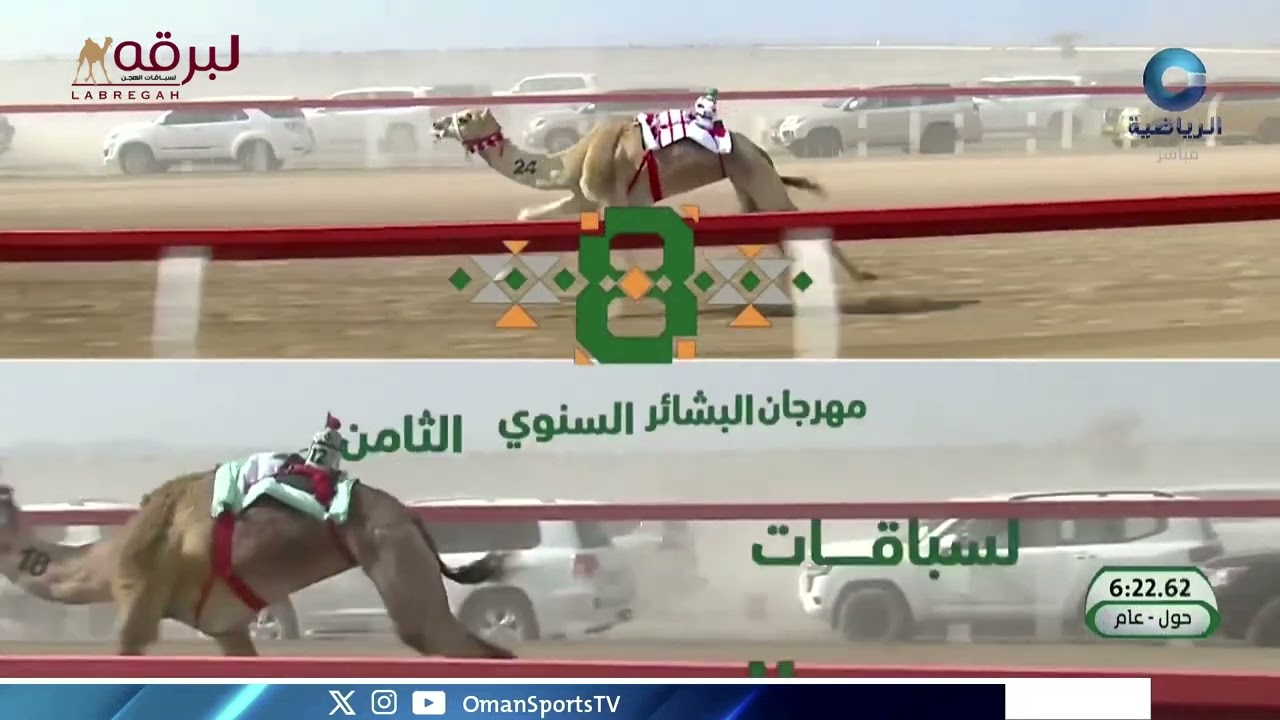ش3 العنود لـ علي خليفة عبدالله الرميثي (مهرجان البشائر 15-02-2025) السيف الفضي للحيل عام 12:45:56