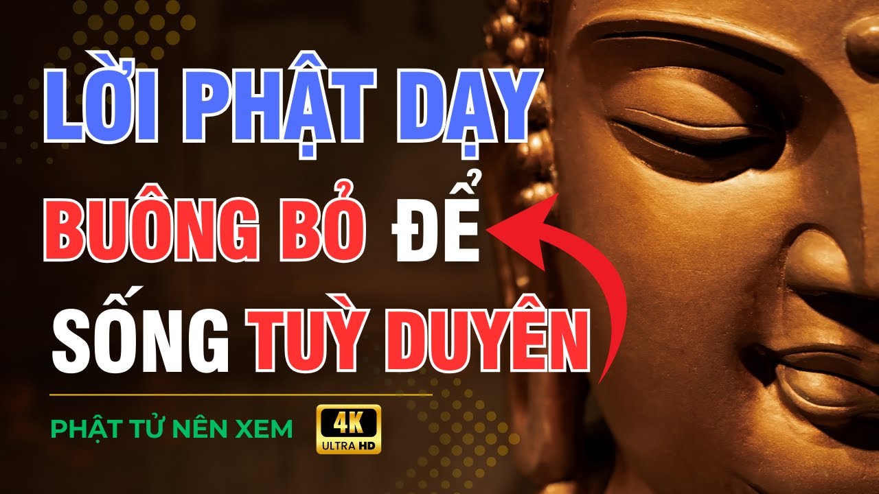 Lời Phật Dạy Cho Nửa Đời Còn Lại – Buông Bỏ Để Sống Tùy Duyên