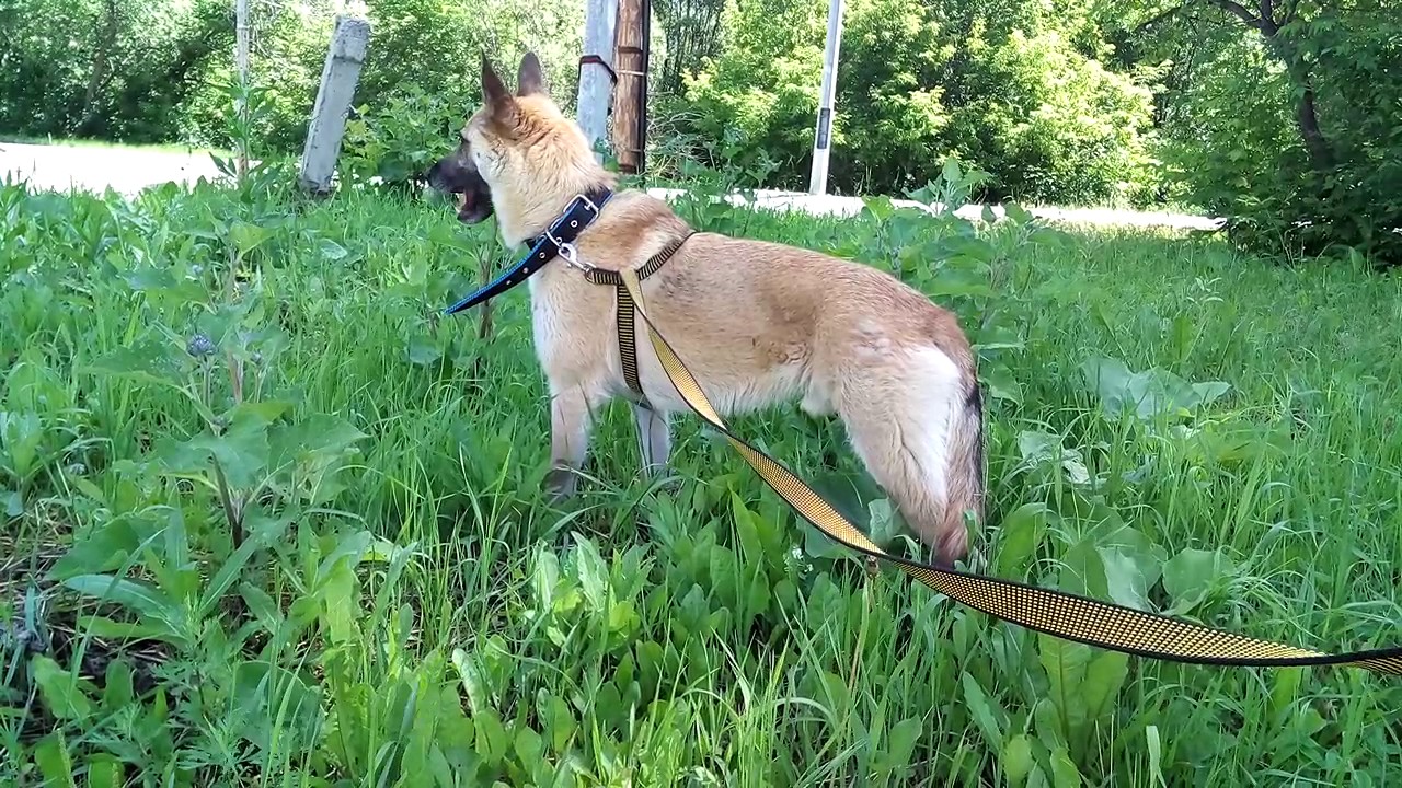 20170712 125225