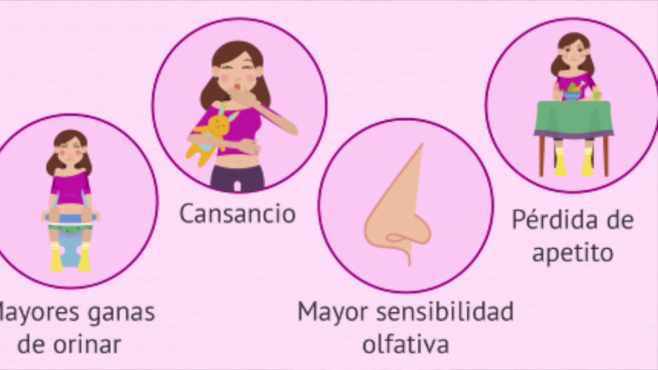 Semana i, Salud Prenatal