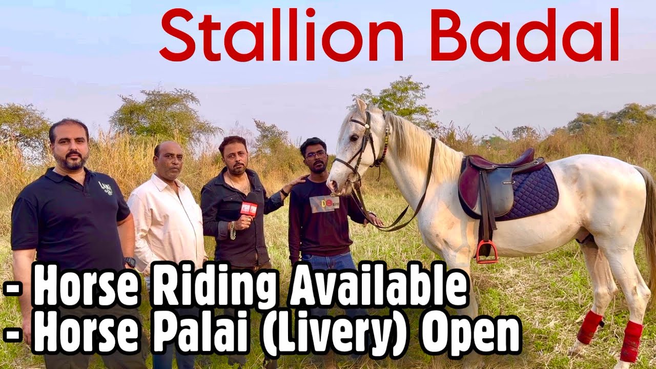 Keep Your Horse On Palai, Enjoy Horse Riding at Choudhary Stud Farm, Padgha Near Mumbai