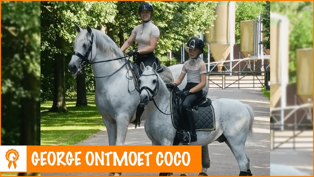 OMG een mini George?!! | PaardenpraatTV