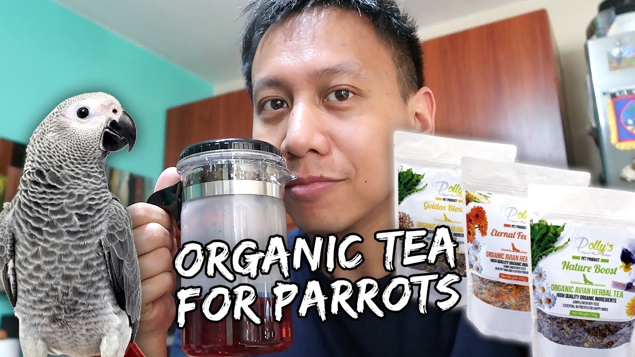 ORGANIC PARROT TEA? (Review & Taste Test) | Vlog #725