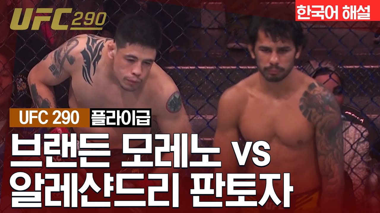 [UFC] 브랜든 모레노 VS 알레샨드리 판토자