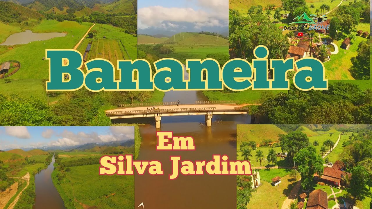 Bananeira#silvajardim#natureza@DelinoRJdrone