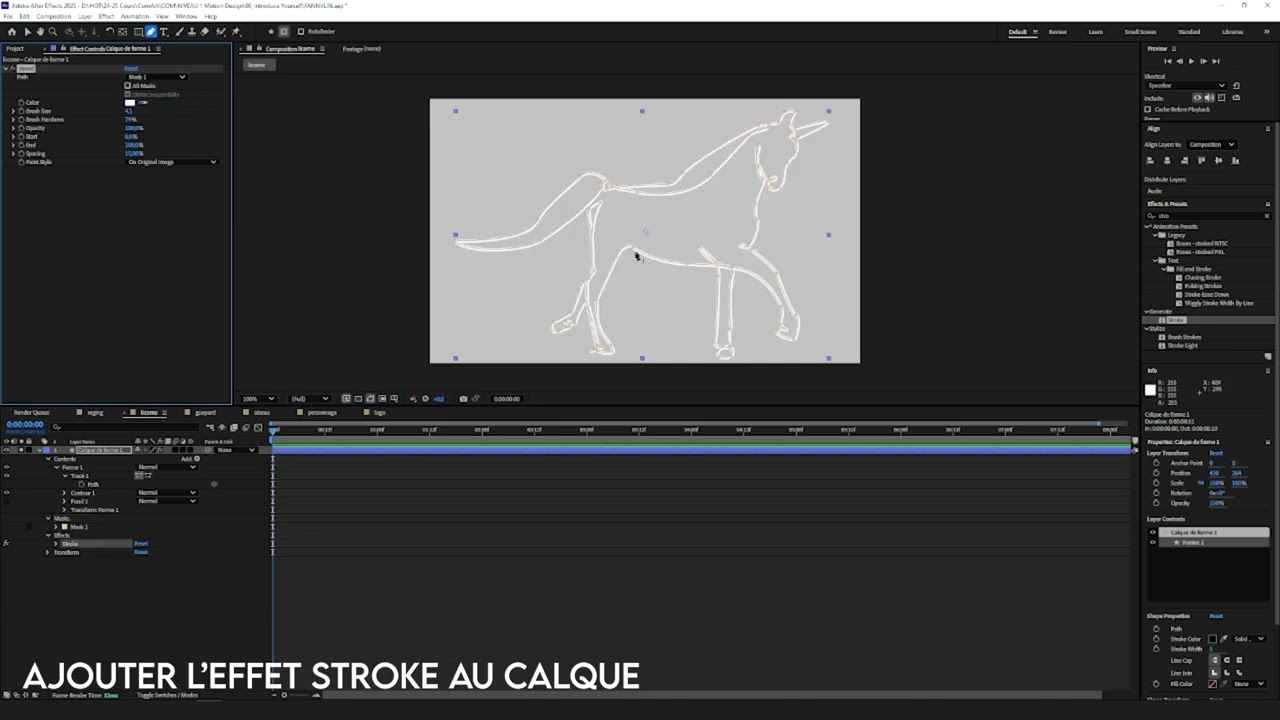 After Effects - Stroke Effect Animation (FR)