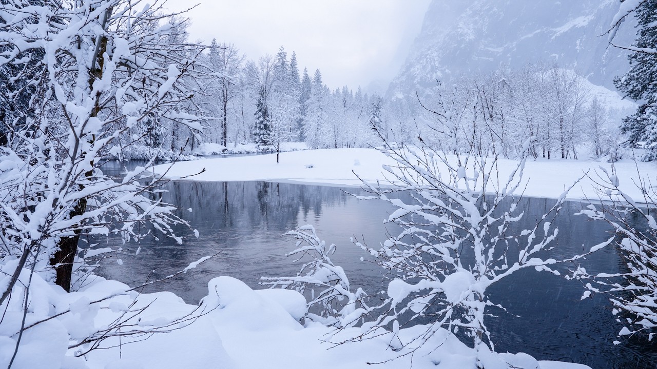 Yosemite Valley Floor | Afternoon Snowfall | Real-Time 4K