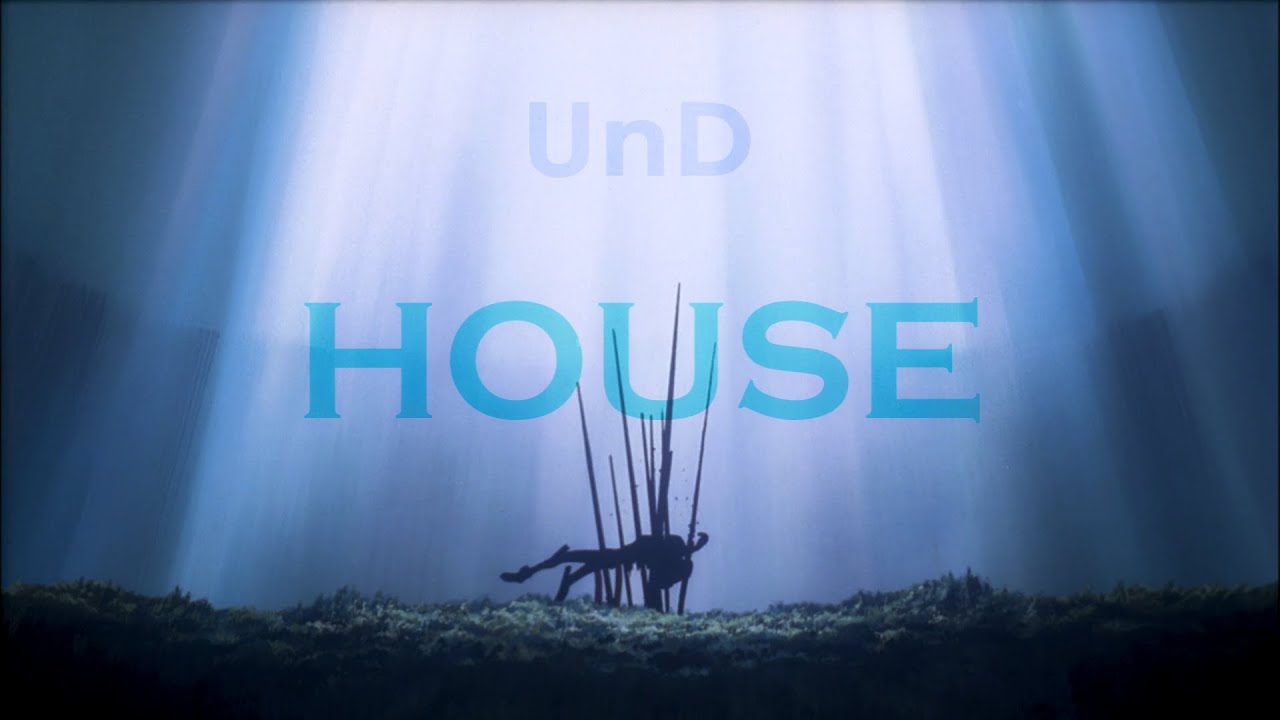 [UnD] house